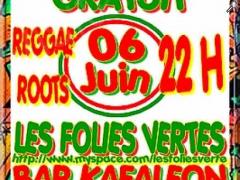 Foto Concert => samedi 6 juin => les folies vertes => reggae / roots