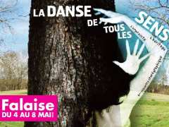 picture of 8ème édition du Festival 'La Danse de tous les Sens'