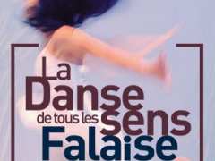 picture of Festival La Danse de tous les Sens - 9ème édition