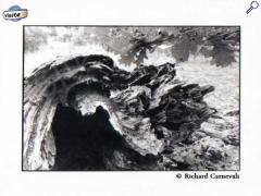 picture of Exposition photos