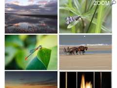 photo de Exposition de photographies par VSM Images Création